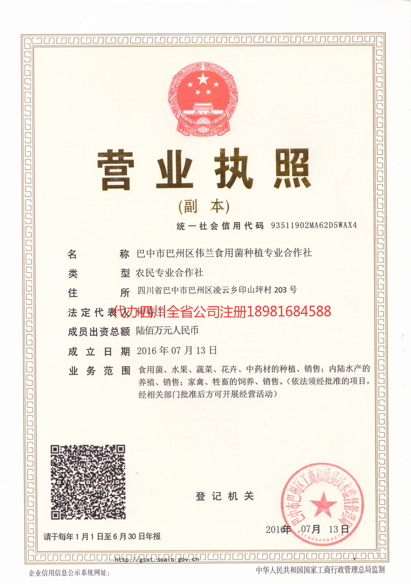 商丘商丘伟兰食用菌种植专业合作社